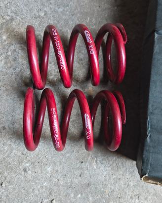 Molle EIBACH ERS da competizione varie misure