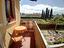 Immagine 30