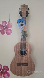 ukulele Concerto
