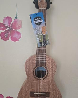 ukulele Concerto