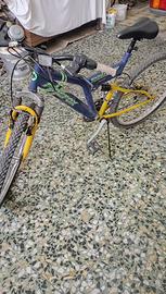 bici firefox