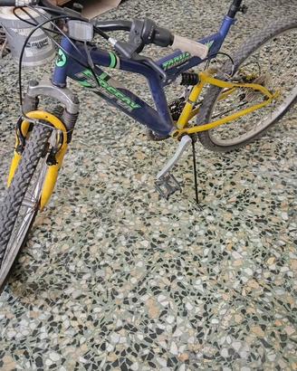 bici firefox