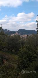 Terreno agricolo con rudere