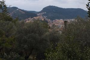 Terreno agricolo con rudere