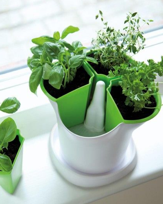 Vaso Per Erbe Aromatiche Autoirrigante STEWART