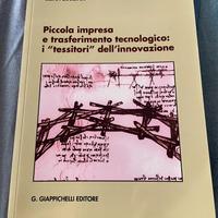 Piccola impresa e trasferimento tecnologico