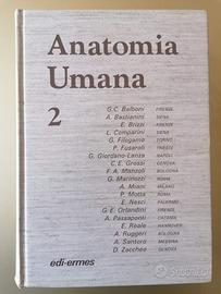 Anatomia Umana Parte 2 Edi Ermes