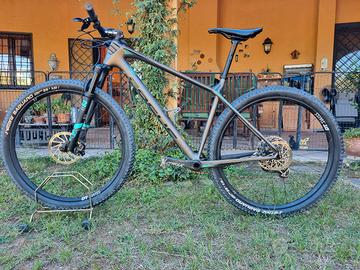 MTB FOCUS RAVEN MAX