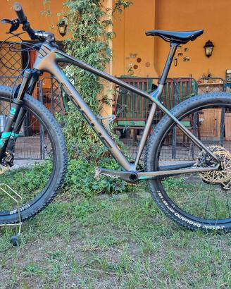 MTB FOCUS RAVEN MAX