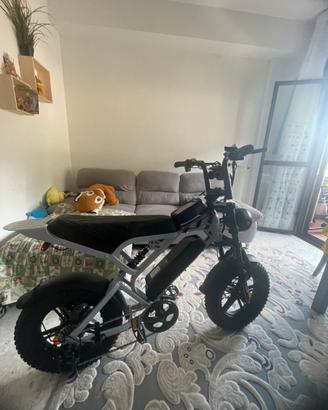 Bicicletta eletteica