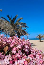 Casa vacanza san benedetto del tronto