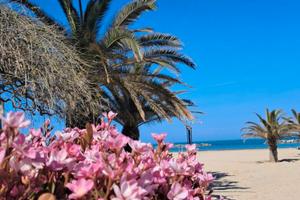 Casa vacanza san benedetto del tronto