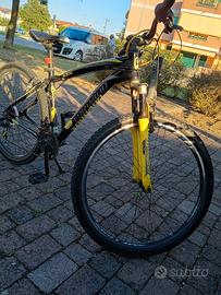 Mountain bike 
