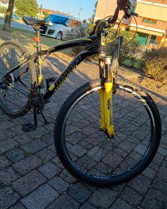 Mountain bike 