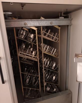 Incubatrici uovo struzzo