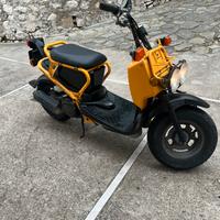 Honda zoomer