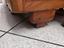 Immagine 17