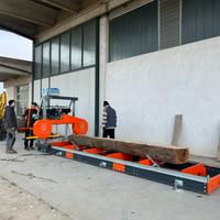 Sega tronchi/Segheria