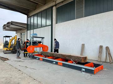 Sega tronchi/Segheria