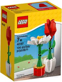 LEGO 40187 - Fiori San Valentino - NUOVO SIGILLATO - Collezionismo In  vendita a Novara