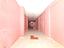 Immagine 15