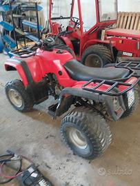 quad atv 250