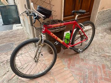 Mountayn Bike rossa ammortizzata