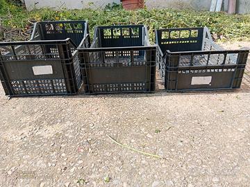 cassette per frutta e ortaggi