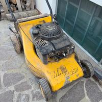 Tagliaerba da sistemare