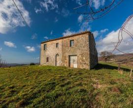 Casa colonica da ristrutturare in una bella posizi