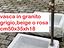 Immagine 12