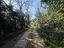 Immagine 9