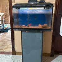 Acquario 60 lt e mobiletto