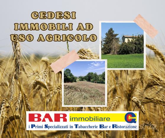 Rif. BOM11/24 - Azienda agricola