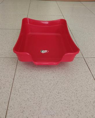 Lettiera gattino / Kitten