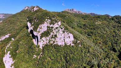 Terreno - Camaiore