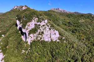 Terreno - Camaiore