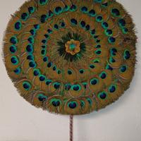 Ventaglio in piume di pavone