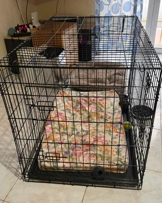 Kennel XL per cani tsglia medio/grande