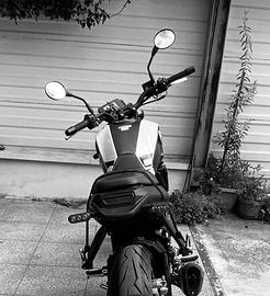 Benelli leoncino 250