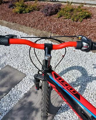 Bicicletta bambino