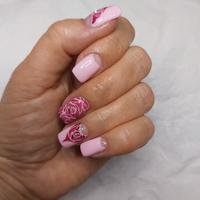 Onicotechnica esperta