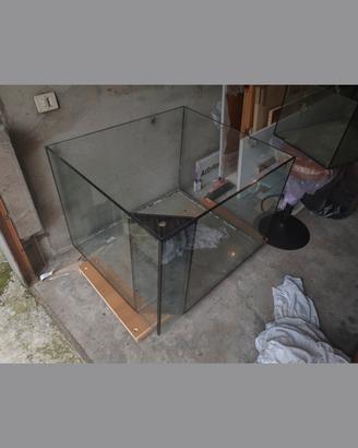 acquario malberti
