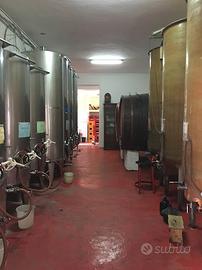 Affitto azienda vinicola