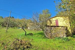 Terratetto Predappio [Cod. rif 3308258VRG]