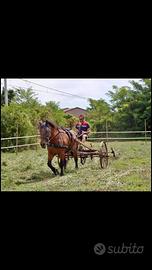 Trattore spandi fieno antico