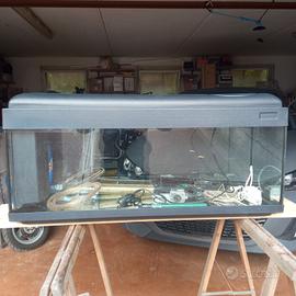acquario per casa