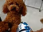 Immagine 4