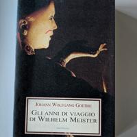 Goethe Gli anni di viaggio di Wilhelm Meister