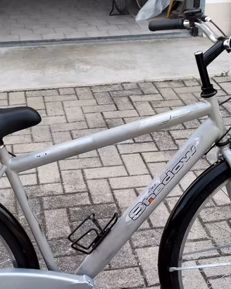 bicicletta